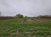 Elan №6003132 - Göyçay, Göyçay, 50 sot