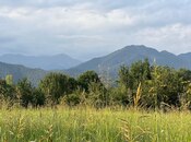 Elan №6003184 - Qəbələ, Qəbələ, 6 sot