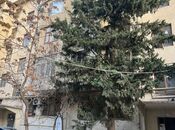 Satılır 3 otaqlı köhnə tikili 60 m², Memar Əcəmi m., photo 2 from 8