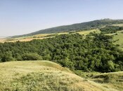 Satılır  torpaq 1 100 sot, photo 6 from 8