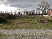 Объявление №6003354 - Шеки, Шеки, 3 сот