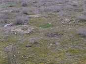 Satılır  torpaq 36 sot, Türkan q., photo 7 from 8