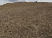 Satılır  torpaq 53 sot, photo 7 from 8