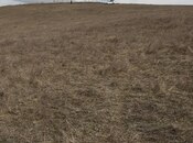 Satılır  torpaq 53 sot, photo 4 from 8