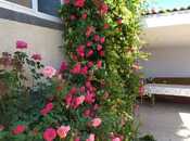 Сдаётся 4-комн. дом/дача 150 м², photo 8 from 8