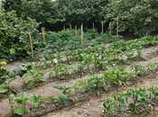 Elan №6003763 - Xaçmaz, Xaçmaz, 8 sot