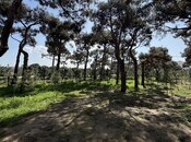 Продаётся 3-комн. новостройка 66 м², м. Гянджлик, photo 4 from 8