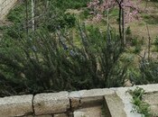 Satılır 6 otaqlı həyət evi/bağ evi 260 m², Zirə q., photo 8 from 8