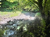 Satılır  torpaq 6 sot, photo 2 from 5