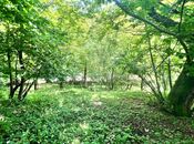 Satılır  torpaq 6 sot, photo 5 from 5