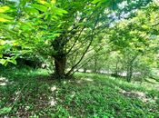 Satılır  torpaq 6 sot, photo 4 from 5