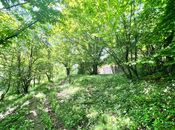 Satılır  torpaq 6 sot, photo 3 from 5