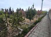 Объявление №6004209 - Баку, пос. Горадил, 12 сот