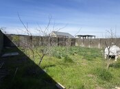 Продаётся 4-комн. дом/дача 200 м², пос. Вишнёвка, photo 4 from 8