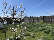 Продаётся 4-комн. дом/дача 200 м², пос. Вишнёвка, photo 5 from 8