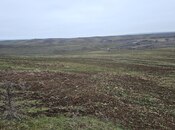 Elan №6004388 - Qusar, Qusar, 407 sot