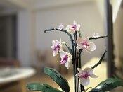 İcarəyə verilir 2 otaqlı yeni tikili 90 m², Şah İsmayıl Xətai m., photo 8 from 8