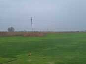 Satılır  torpaq 200 sot, Qala q., photo 5 from 5