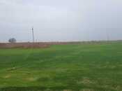 Satılır  torpaq 200 sot, Qala q., photo 2 from 5