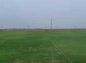 Satılır  torpaq 200 sot, Qala q., photo 3 from 5