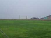 Elan №6004578 - Bakı, Qala q., 200 sot