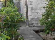 Продаётся 5-комн. дом/дача 200 м², пос. Говсан, photo 5 from 8