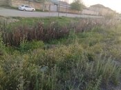 Satılır  torpaq 3 sot, photo 3 from 3