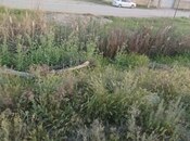 Satılır  torpaq 3 sot, photo 2 from 3