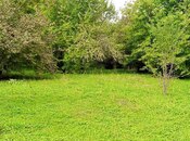 Elan №6004872 - Qəbələ, Qəbələ, 14 sot