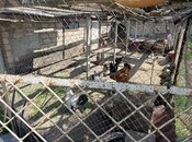 Продаётся  участок 12 сот, пос. Горадил, photo 3 from 8