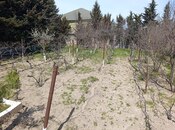 Объявление №6004849 - Баку, пос. Горадил, 12 сот