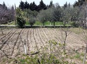 Продаётся  участок 12 сот, пос. Горадил, photo 4 from 8