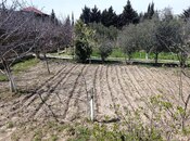 Продаётся  участок 12 сот, пос. Горадил, photo 5 from 8