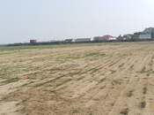 Elan №6005006 - Göyçay, Göyçay, 150 sot