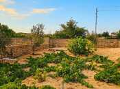 İcarəyə verilir 6 otaqlı həyət evi/bağ evi 200 m², Novxanı q., photo 2 from 8