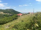 Elan №6005372 - Şamaxı, Şamaxı, 1000 sot