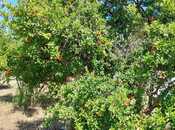 Продаётся  участок 150 сот, пос. Новханы, photo 7 from 8