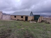 Elan №6005674 - Şamaxı, Şamaxı, 11.6 sot