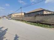 Продаётся  участок 80 сот, пос. Бина, photo 3 from 8