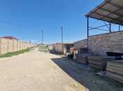 Продаётся  участок 80 сот, пос. Бина, photo 8 from 8