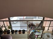 Объявление №6006118 - Баку, м. 28 мая, 50 м²