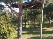 Продаётся 2-комн. новостройка 55 м², пос. Ази Асланова, photo 3 from 8