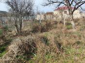 Elan №6006272 - Şirvan, Şirvan, 6 sot