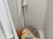 Сдаётся 1-комн. новостройка 65 м², пос. Sea Breeze, photo 4 from 8