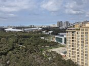 Elan №6006354 - Bakı, Nərimanov r., 7 otaqlı, 240 m², 11/12 mərtəbə