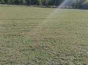 Объявление №6006486 - Шемаха, Шемаха, 344 сот