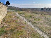 Elan №6006499 - Şamaxı, Şamaxı, 48 sot