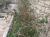 Satılır  torpaq 6 sot, Türkan q., photo 3 from 8