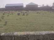 Продаётся  участок 5 сот, пос. Тюркан, photo 2 from 2