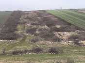 Elan №6007668 - Quba, Quba, 64 sot